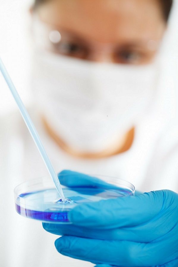 Ciencia en quiropráctica