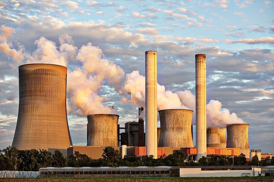 Contaminación y estrés químico